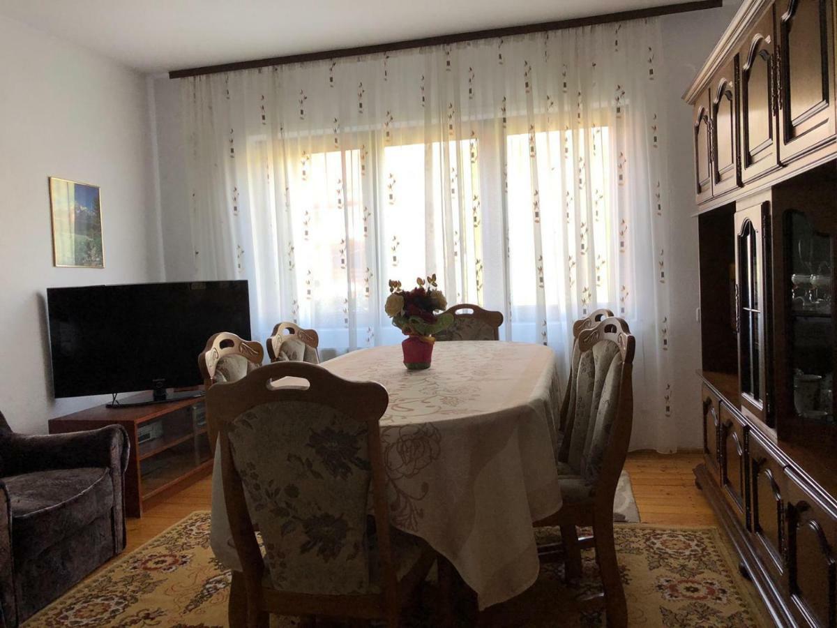 Casa Ani Βίλα Borşa Εξωτερικό φωτογραφία